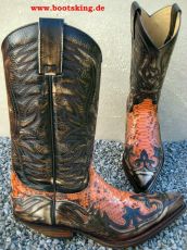 South Dakota braun-wei� geb�rstet/Python orange