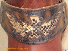 Jackson braun mit Python