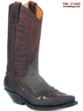 Tenneesee braun / Python