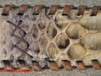 Sendra Grtel aus Python Leder