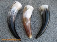 Drinking Horn 0,7