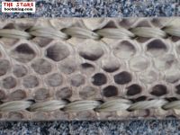 New Rock Grtel Python natur