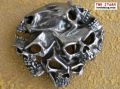 Alchemy Buckle Gestalt Skull